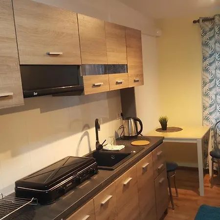 Rokicinska54 Com Апартаменты *