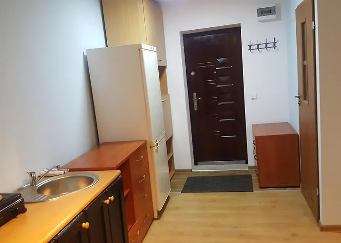 Rokicinska54 Com Apartament Łódź