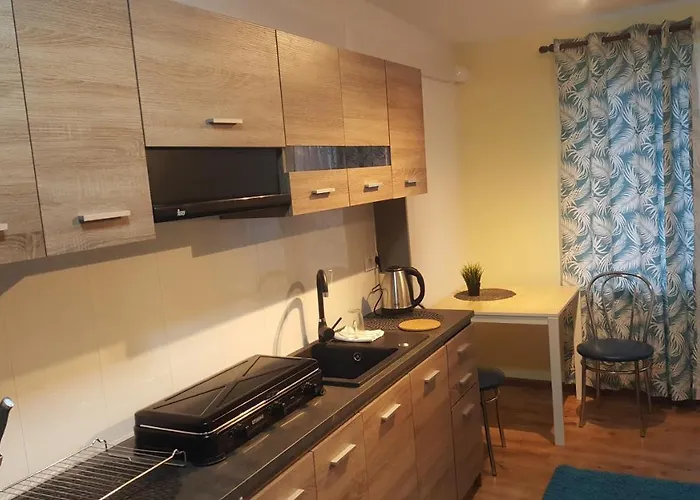 Rokicinska54 Com Apartament *